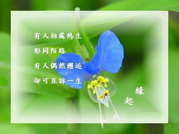 生命是一場懂得2.jpg
