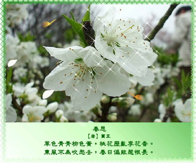 春風有意豔桃花，桃花無意惹詩情8.jpg