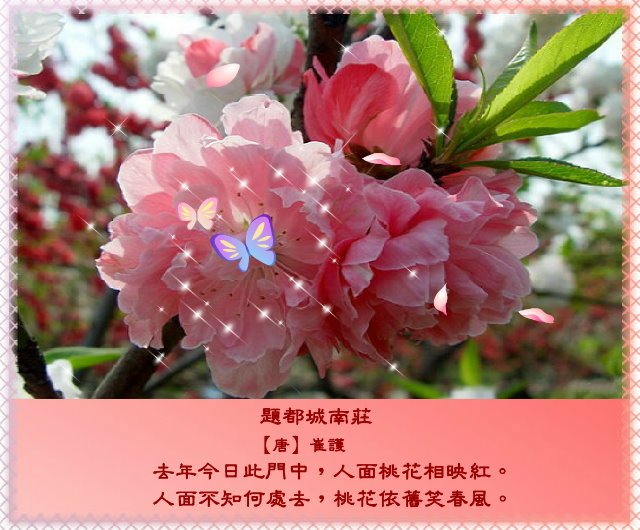 春風有意豔桃花，桃花無意惹詩情2.jpg