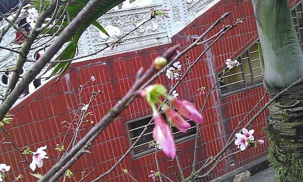 WP_20130313_048