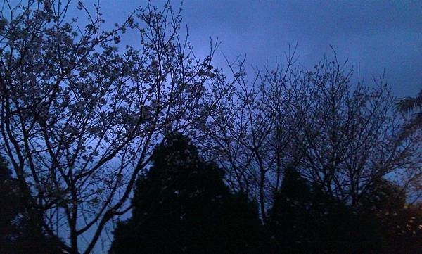 WP_20140309_047.jpg