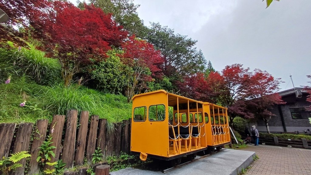 太平山蹦蹦車、茂興懷舊步道 113/5/18