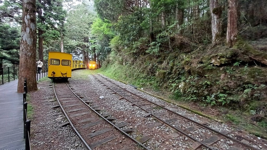 太平山蹦蹦車、茂興懷舊步道 113/5/18