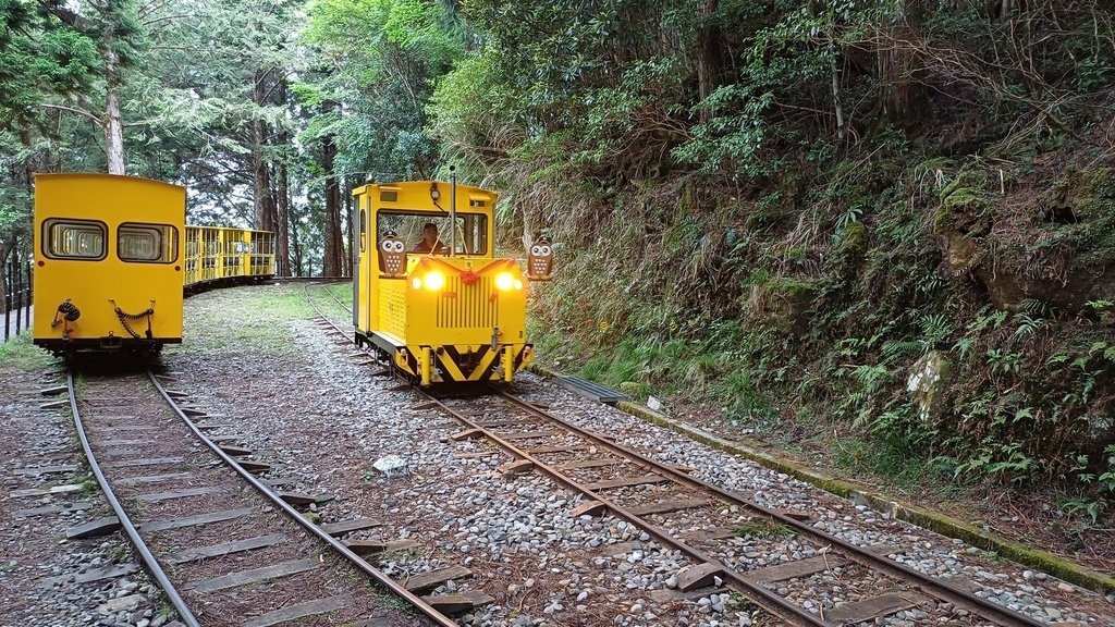 太平山蹦蹦車、茂興懷舊步道 113/5/18