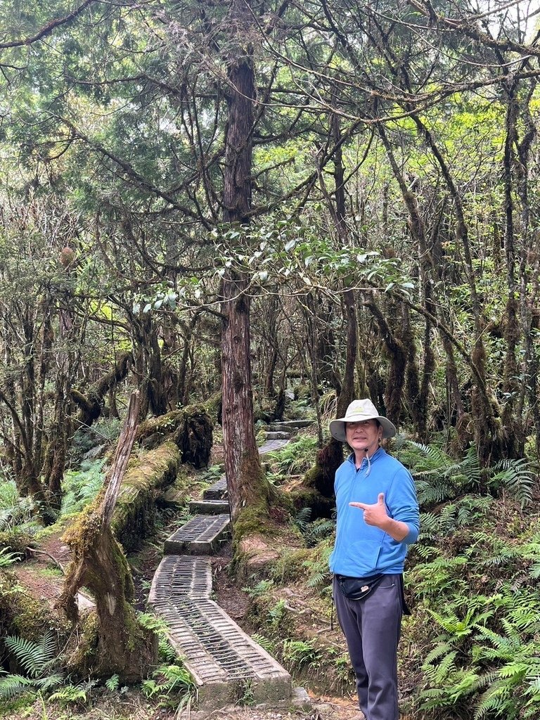 LINE_ALBUM_太平山33333_240519_143.jpg