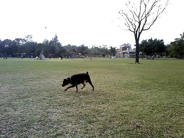 IMG10870.jpg