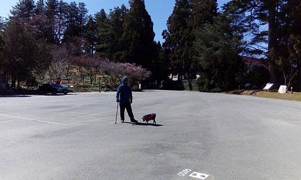 IMG_20160207_113520.jpg