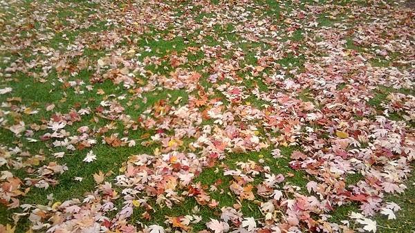 WP_20131109_011