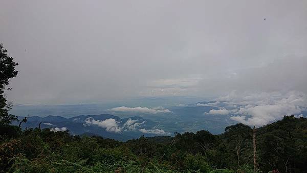 【柬埔寨】在柬埔寨親近大自然 (順手介紹在地嚮導)