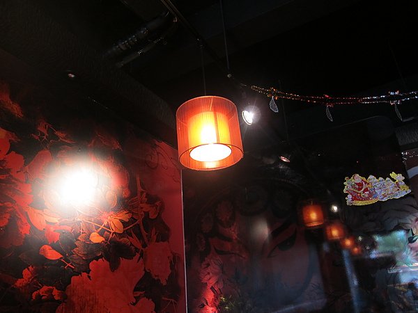 2011-1-14 016.jpg