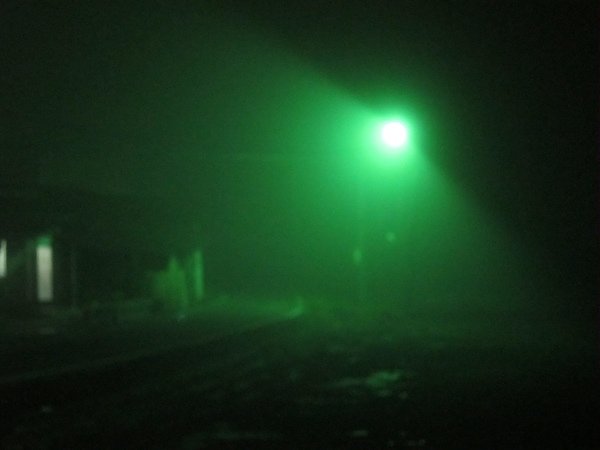 2011-2-28 058.jpg