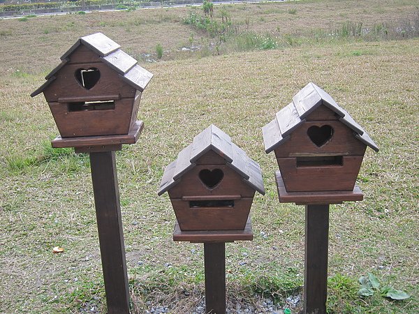 2011-2-10 036.jpg