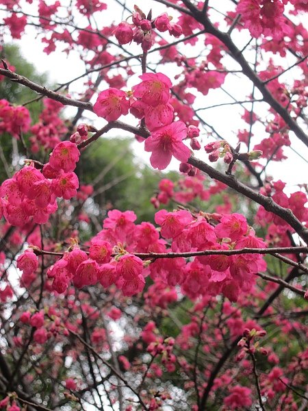 2011-2-13 037.jpg