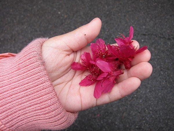 2011-2-13 019.jpg