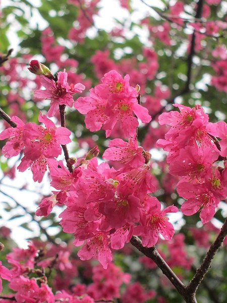2011-2-13 012.jpg