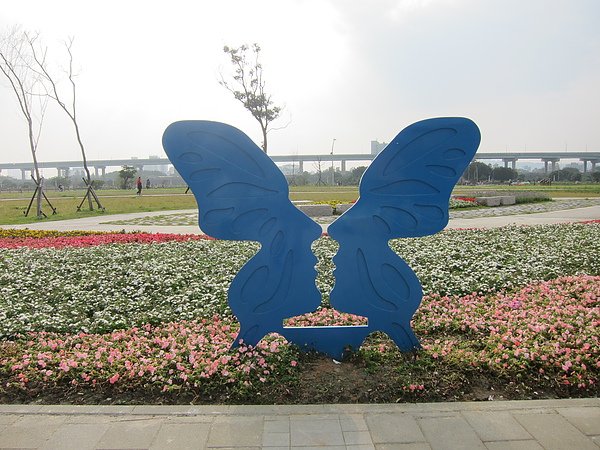 2011-2-10 048.jpg