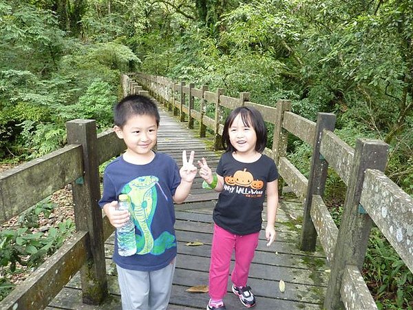 P1020491.JPG