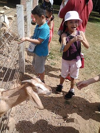 IMG2678