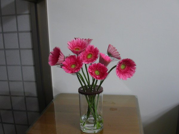 PICT0903.JPG
