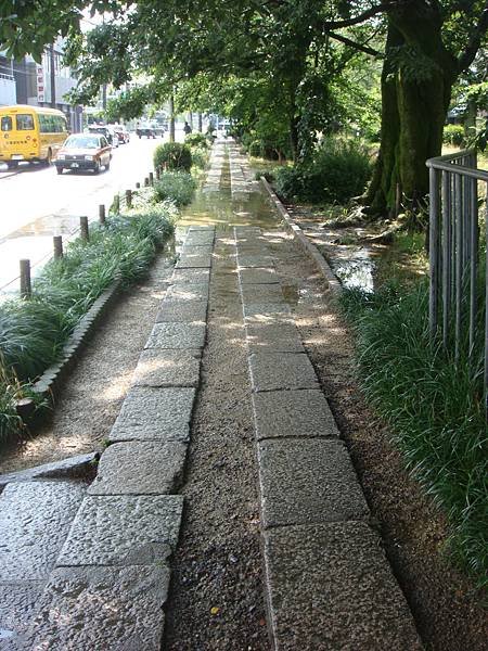 DSC00162.JPG