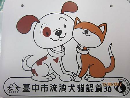 認養毛小孩更容易