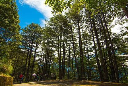 雙十國慶八仙山、大雪山森林遊樂區優待半票