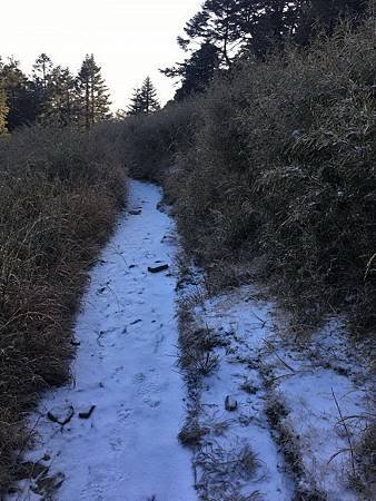 冷氣團來襲雪山山區積薄雪