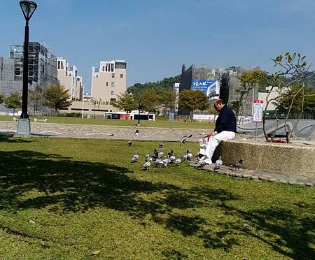 勸導民眾勿餵公園野鴿