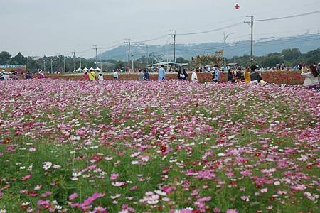 Ｈ花海交通４.jpg