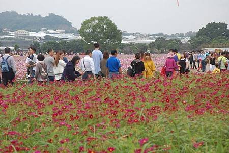 Ｈ花海交通3.jpg