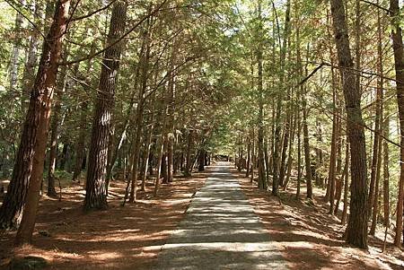 Ｈ武陵桃山步道.jpg