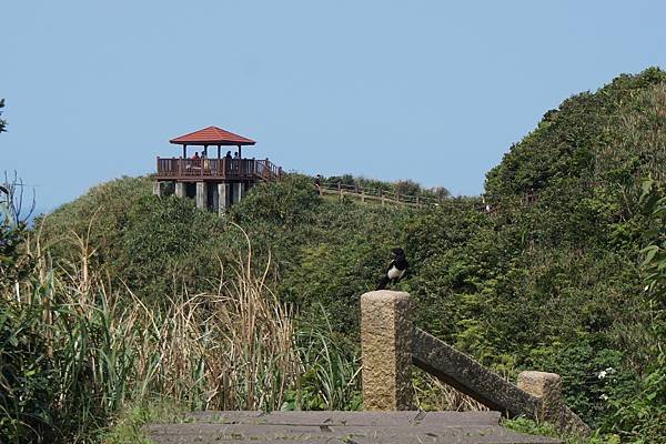 2021/3/11 瑞芳鼻頭角燈塔 步道