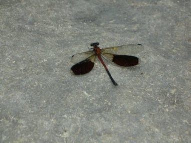 DSCN8028.JPG