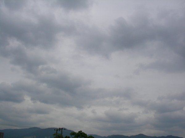 SANY0006.JPG