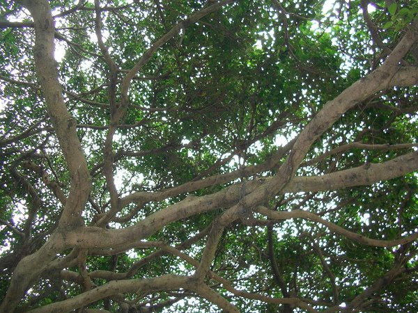 SANY0009.JPG