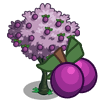 tree_plum_icon.png