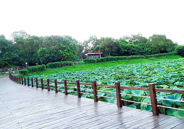 DSCN9579.jpg
