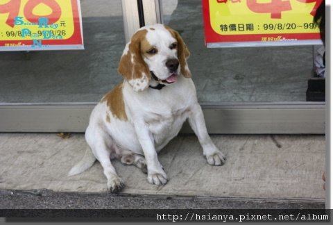 藝術街尋寶 (5).JPG