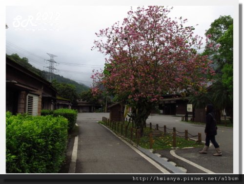 0310林田山 (9)
