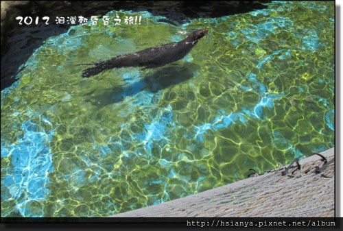 20120714海洋公園 (18)