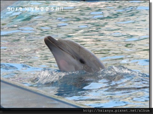 20120714海洋公園 (28)