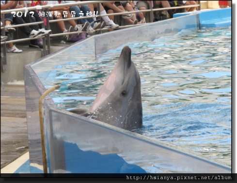 20120714海洋公園 (29)