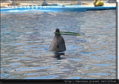 20120714海洋公園 (30)