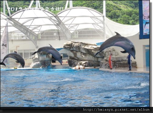 20120714海洋公園 (31)