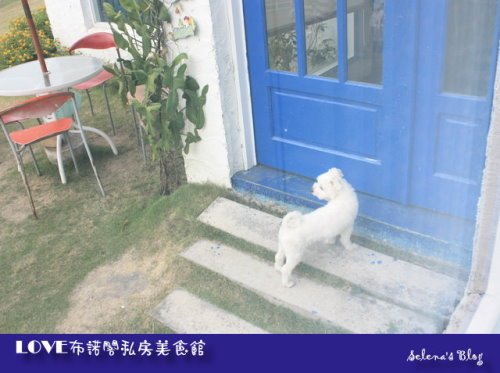 布諾閣番外篇- (32).JPG