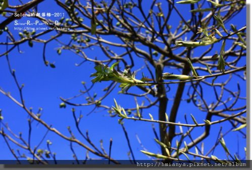 P0227卑南文化園區-- (8).jpg