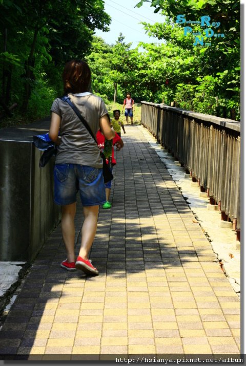 P9908-小琉球花瓶石步道 (17).JPG