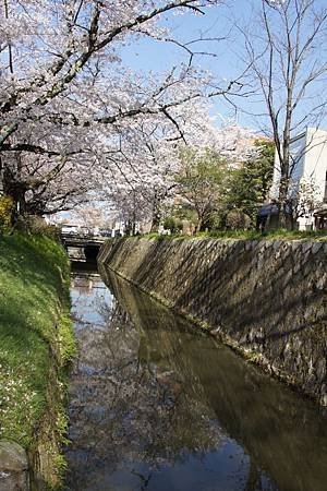 DSC04237.JPG
