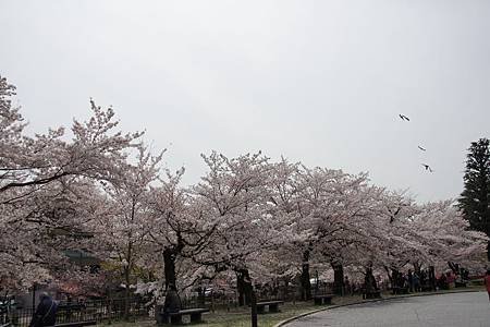DSC05096.JPG