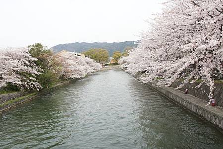 DSC05500.JPG